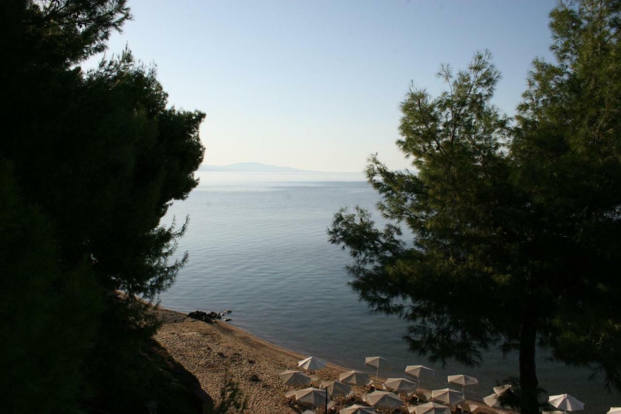 Cosy Apartment By The Sea Metamorfosi  Dış mekan fotoğraf